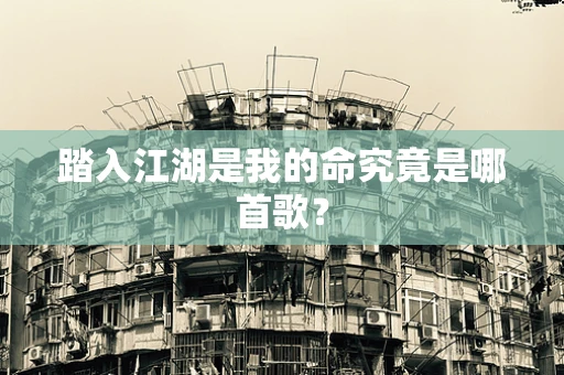 踏入江湖是我的命究竟是哪首歌？