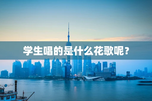 学生唱的是什么花歌呢？