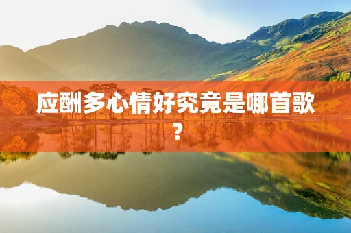 应酬多心情好究竟是哪首歌？