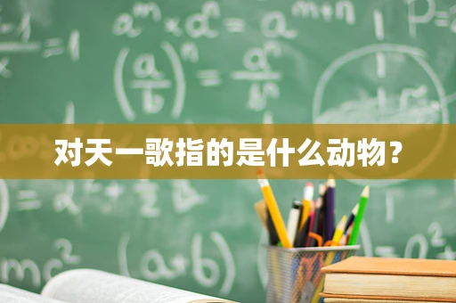 对天一歌指的是什么动物？