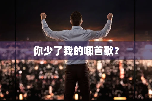 你少了我的哪首歌？