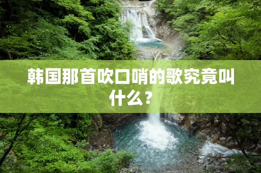 韩国那首吹口哨的歌究竟叫什么？