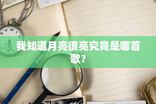 我知道月亮很亮究竟是哪首歌？