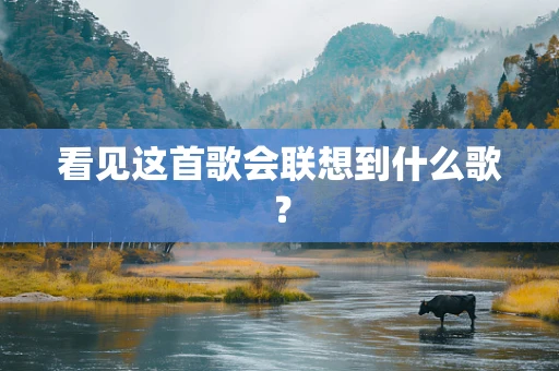 看见这首歌会联想到什么歌？