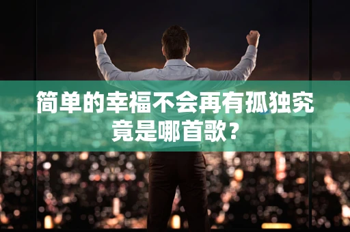 简单的幸福不会再有孤独究竟是哪首歌？