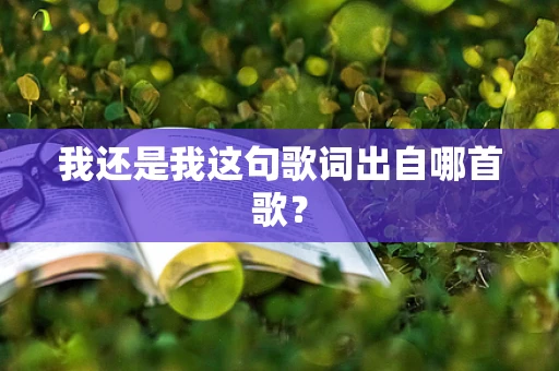 我还是我这句歌词出自哪首歌？