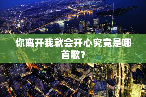 你离开我就会开心究竟是哪首歌？