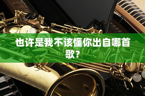 也许是我不该懂你出自哪首歌？