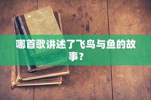 哪首歌讲述了飞鸟与鱼的故事？