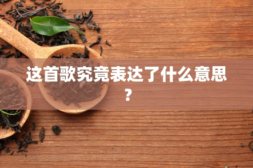 这首歌究竟表达了什么意思？