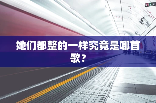 她们都整的一样究竟是哪首歌？