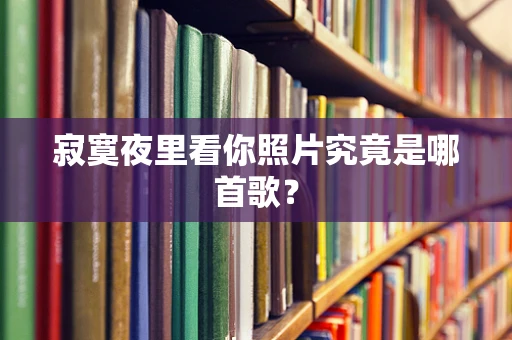 寂寞夜里看你照片究竟是哪首歌？