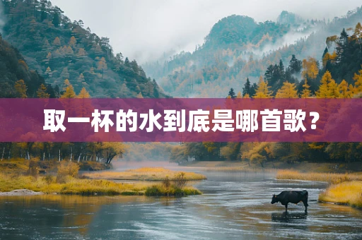 取一杯的水到底是哪首歌？