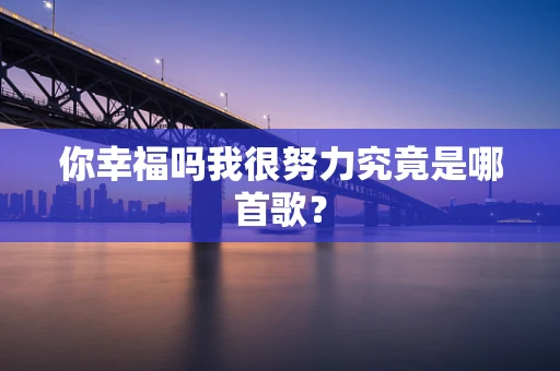 你幸福吗我很努力究竟是哪首歌？