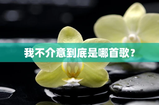 我不介意到底是哪首歌？