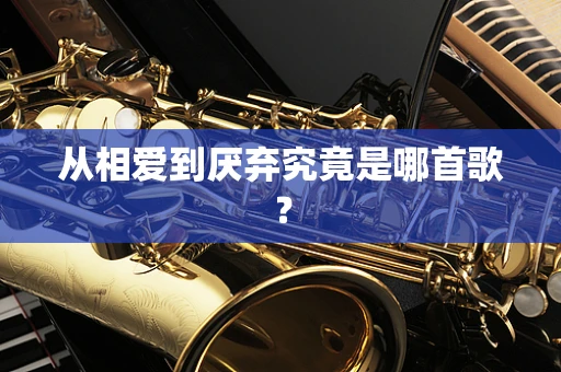 从相爱到厌弃究竟是哪首歌？