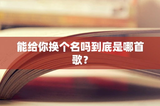 能给你换个名吗到底是哪首歌？