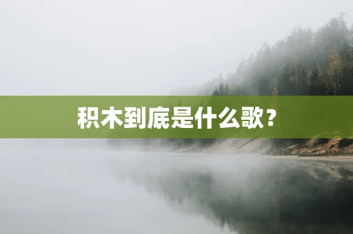 积木到底是什么歌？
