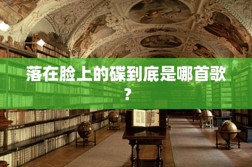落在脸上的碟到底是哪首歌？