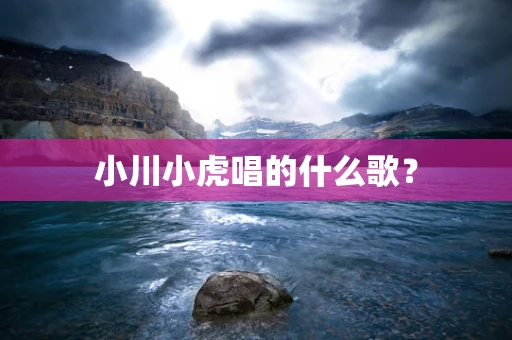 小川小虎唱的什么歌？