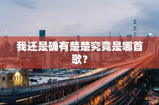 我还是确有楚楚究竟是哪首歌？