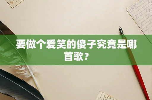 要做个爱笑的傻子究竟是哪首歌？