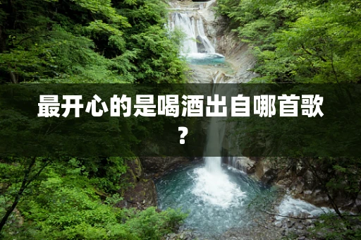 最开心的是喝酒出自哪首歌？
