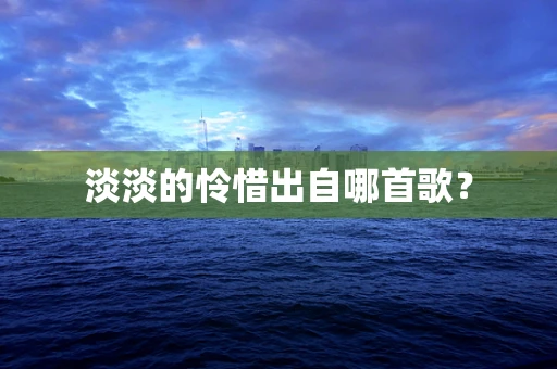 淡淡的怜惜出自哪首歌？