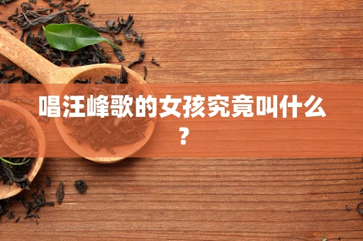 唱汪峰歌的女孩究竟叫什么？