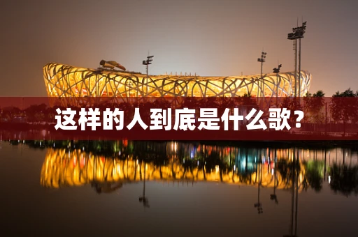 这样的人到底是什么歌？