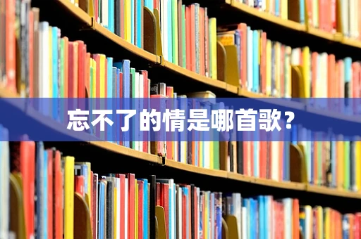 忘不了的情是哪首歌？