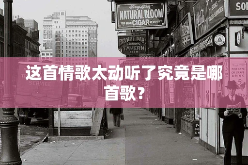 这首情歌太动听了究竟是哪首歌？