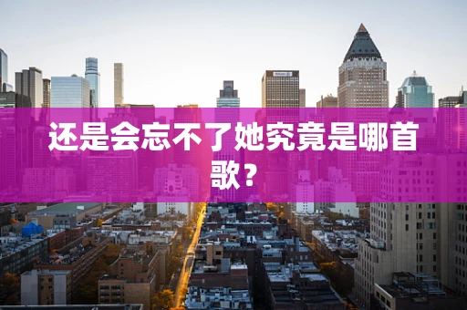 还是会忘不了她究竟是哪首歌？