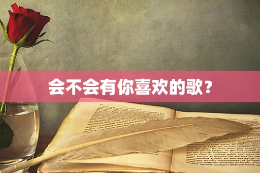 会不会有你喜欢的歌？