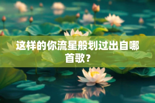 这样的你流星般划过出自哪首歌？