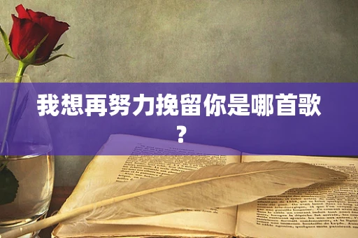 我想再努力挽留你是哪首歌？