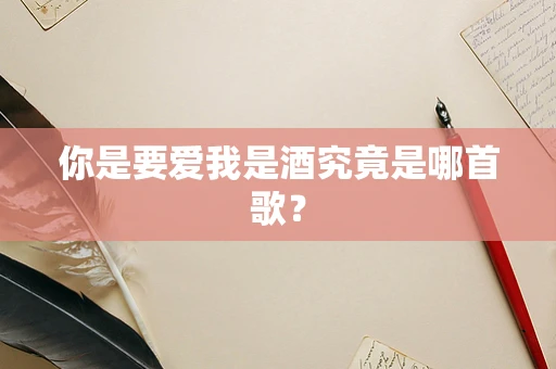 你是要爱我是酒究竟是哪首歌？