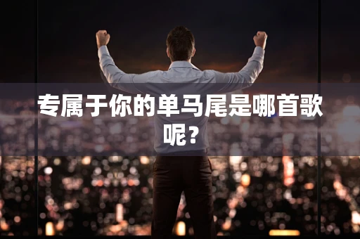 专属于你的单马尾是哪首歌呢？