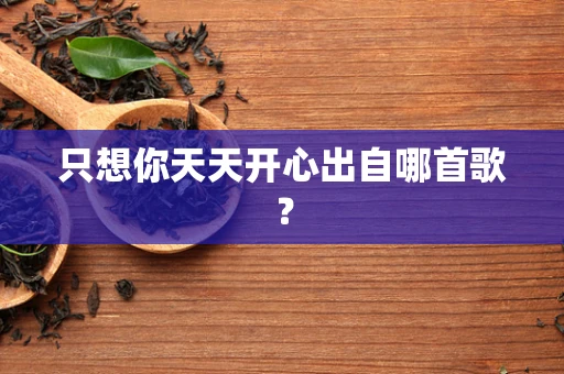 只想你天天开心出自哪首歌？