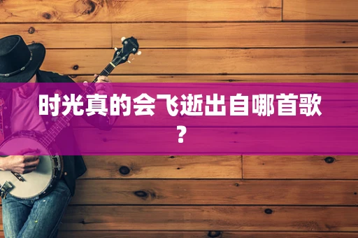 时光真的会飞逝出自哪首歌？