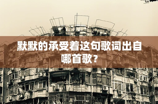 默默的承受着这句歌词出自哪首歌？