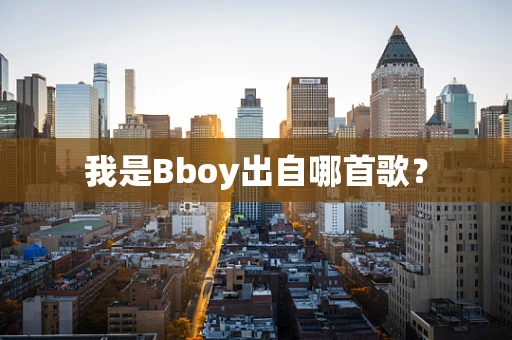 我是Bboy出自哪首歌？