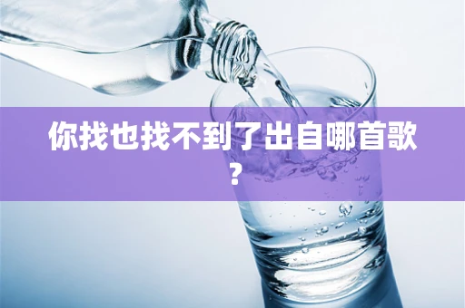 你找也找不到了出自哪首歌？