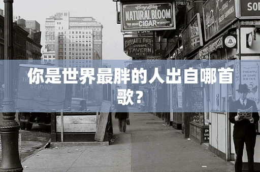 你是世界最胖的人出自哪首歌？
