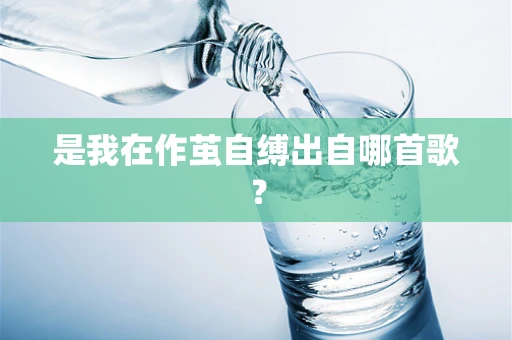 是我在作茧自缚出自哪首歌？
