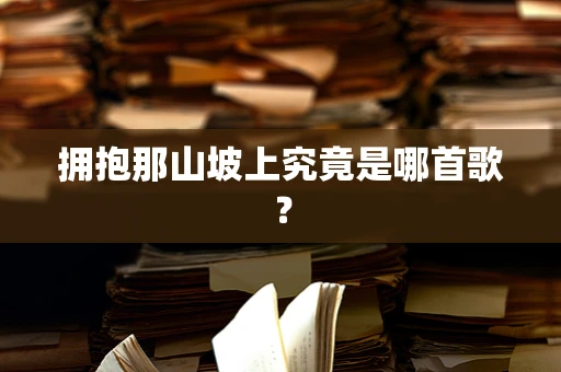 拥抱那山坡上究竟是哪首歌？