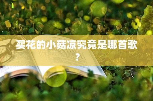 买花的小菇凉究竟是哪首歌？
