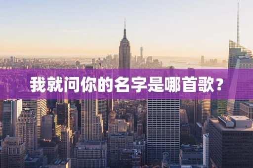 我就问你的名字是哪首歌？