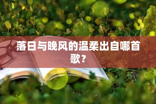 落日与晚风的温柔出自哪首歌？