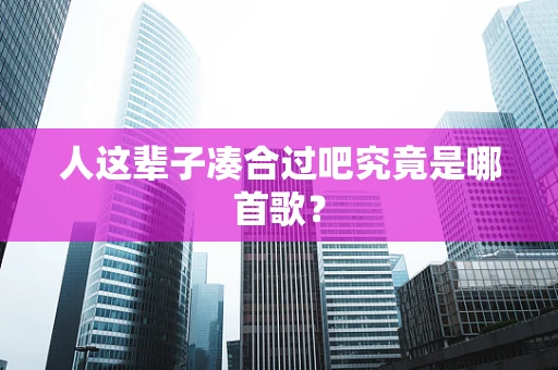 人这辈子凑合过吧究竟是哪首歌？